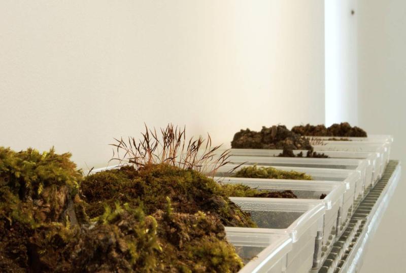 Dagmar Šubrtová, Sometimes Everything Comes from Afar, foto: Eva Bednářová